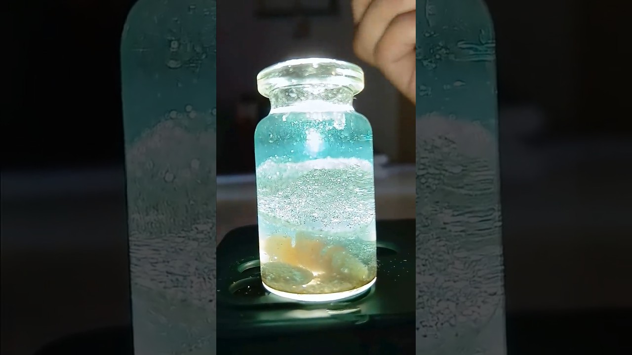 🌊 🪼🐚കുപ്പിക്കുള്ളിലൊരു കടൽ  DIY Ocean in a Bottle | Aesthetic Mini Sea Jar Craft 