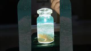 🌊 🪼🐚കുപ്പിക്കുള്ളിലൊരു കടൽ DIY Ocean in a Bottle | Aesthetic Mini Sea Jar Craft #shorts 🌊 🪼🐚കുപ്പിക്കുള്ളിലൊരു കടൽ DIY Ocean in a Bottle | Aesthetic Mini Sea Jar Craft #shorts
