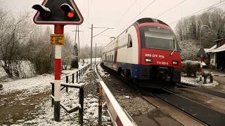 Doppel-Sichtung! 🛤️ 2 Bahnübergänge bei Regensdorf | Kanton Zürich | Thomas1980
