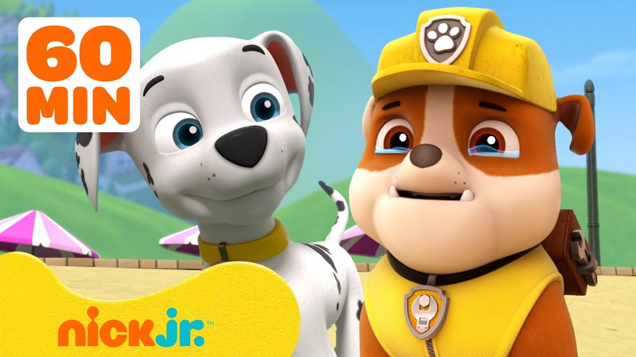 PAW Patrol Feels Big Feelings! w/ Marshall & Chase #3 💗 60 Minutes | Nick Jr.