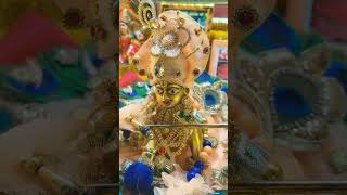 जब कुछ ठीक ना चले 🙏🏻Laddu Gopal Status #shorts #laddugopal #thakurji #trending #bhaktishorts #fyp