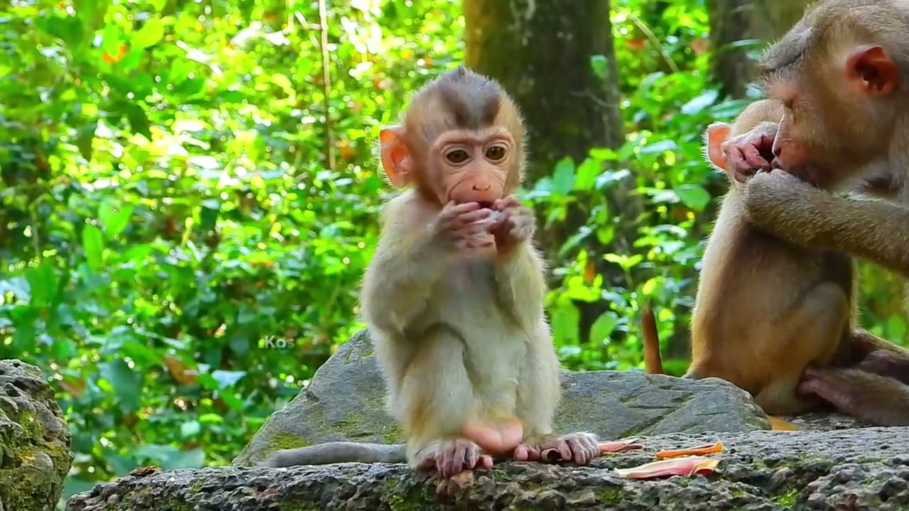 Adorable BB Rainbow always happy with muma and friends