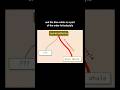 Animal 933 #metazooa #phylogeny #taxonomy #animal #animals #game #games #zoology #biodiversity