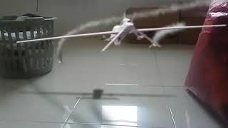 FxGuru Drone Strike Effect