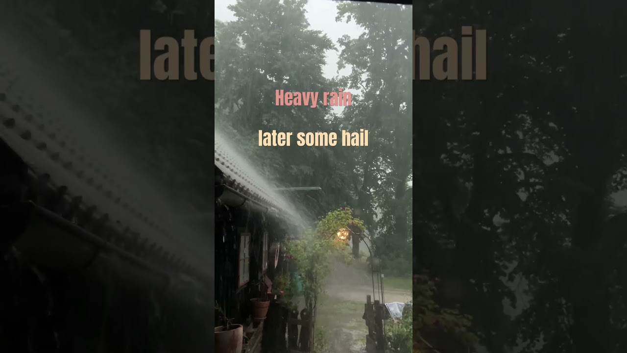 Summer thunderstorm in the mountain forest 