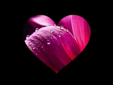 گلهای رنگارنگ ۴۴۲ بانو عهدیه