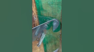 Simple idea with gate latch lock # mechanism lock # DIY # Craft # Unique lock