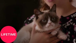 Grumpy Cat's Worst Christmas Ever | Lifetime