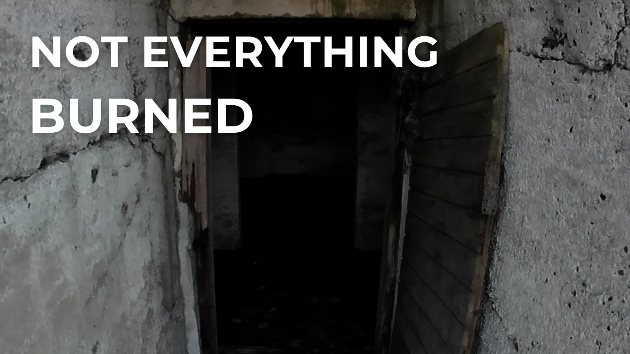 I Ran To a Burned Down House — But Something Survived