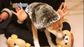 자유선언토요일 [가족의 탄생] - Birth of a Family #10 20120211