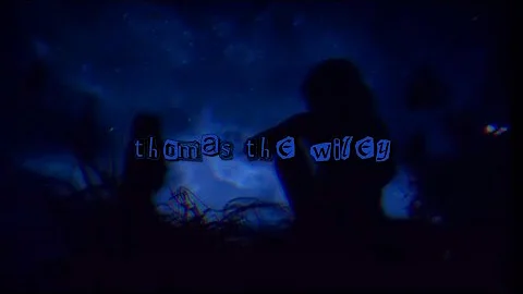 Tom Wiley - THE DOUBLE SLIT EXPERIMENT