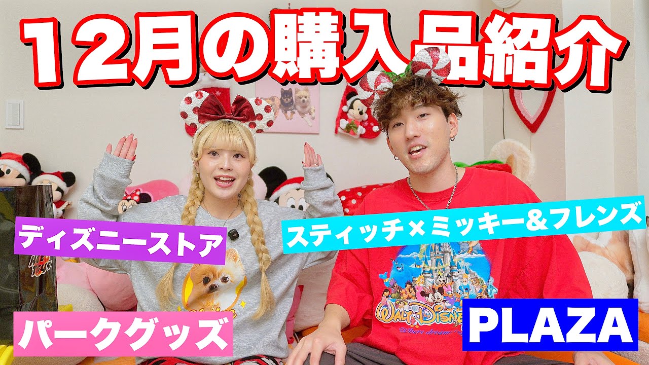 12月に買った可愛すぎるディズニーグッズを大紹介！！