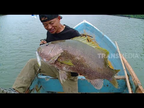 MANCING MANIA | BERBURU MONSTER BLACK BASS (24/08/19) Part 1 ragam song