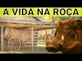 VIDA NA ROÇA [ Dia á Dia ]