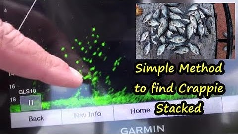 How to Find brush piles on a lake with Side Imaging,Down Scan and 2D sonar using Gamin Electronics