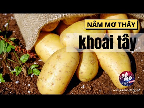 Video: Tại sao mơ thấy ăn khoai tây trong giấc mơ