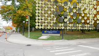 A516 F20 Halquist Lamchun A3 Final