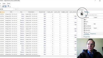 Stata: Explicit subscripting & lag variables
