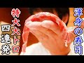 鮪大トロの特大寿司4貫…渾身の寿司【鮨割烹 福松】#shorts