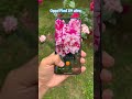 oppo find x9 ultra camera test., #oppofindx9ultra
