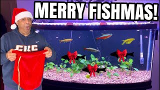 Buying someone new Fish for Christmas!
I surprised my in-laws by filling their aquarium with new fish.
Hygger Website
Use Promo Code MCH15
Get 15% off click link below
⬇️⬇️⬇️⬇️⬇️⬇️⬇️
https://www.hygger-online.com/?ref=HaYNFishKeeper
Hygger YouTube
https://youtube.com/@Hygger-Aquarium?si=cp5MTVnjn8xZABx8
Hygger Facebook:
https://www.facebook.com/shenzhenmago
Hygger facebook group:
https://www.facebook.com/groups/503508973356337/
The Medaka Lair
https://www.instagram.com/the.medaka.lair?igsh=MzRlODBiNWFlZA
MICROBE-LIFT
https://microbelift.com/
IG
https://instagram.com/microbelift?igshid=MzRlODBiNWFlZA
YouTube
https://youtube.com/@microbeliftproducts?si=WGr5IGP1DIlcqAv-
MOUNTAIN TREE
To Purchase MT products EMAIL👇🏽👇🏽
info@wave-point.com
WEBSITE
https://www.imountaintree.com/
IG
https://instagram.com/mountaintreegroup?igshid=NTdlMDg3MTY=
YOUTUBE
https://youtube.com/@mountaintreegroup?si=acHD5ZsbyIJFeHkI
AQUARIUM/REPTILE DEPOT
SHOP ONLINE
https://depotpet.shop/?fbclid=PAAaZ7k3ZPsoQvWNvtunjtqu5E6nZSTCylbekxfebk9HByt7wX0Dgzu20n_RM_aem_AZblC5ziImgmnSE1ffQmvEsvwA3ZMKJe1DSphtqJHDcC_yxg4O0ZBjInd45YMtdFmns
YouTube
https://www.youtube.com/channel/UCvATv4gp3ZR9jXI1wBt7INg
INSTAGRAM
https://instagram.com/aquariumdepot?utm_source=ig_profile_share&igshid=1dui40ayjrqox
FACEBOOK
https://www.facebook.com/AquariumDepot/
ISLAND SILVER CROWNS
IG
https://instagram.com/islandsilvercrowns?utm_medium=copy_link
WEBSITE
https://www.islandsilvercrowns.com/
THE POND DIGGER
LINKTR.EE
https://linktr.ee/theponddigger?fbclid=PAAab_Tot5W-z_TWKZA4aRr-HOj0zx7vkycBAB6z4YZuSvB-yTFVsHXneXZio
THE POND DIGGER PODCAST
https://podcasts.apple.com/us/podcast/the-pond-digger-podcast/id1439751720
HELIX SKIMMER
https://youtu.be/FgKeJOzoGwI
Get your Minn Finn at⬇️
KOI ENTERPRISE
KOI AUCTION
https://www.quinterokoi.com/koi-auctions/goshiki_142
FACEBOOK
https://www.facebook.com/koienterprise/
TIKTOK
https://vm.tiktok.com/TTPd2WBYYF/
IG
https://instagram.com/koidealer?utm_medium=copy_link
WEBSITE
http://www.koienterprise.com/
SICCE
PLAYLIST
https://youtube.com/playlist?list=PLpHw9_vsV8hvS8rnUu8-B2PmlJuDKtC3c
IG
https://instagram.com/sicceus?utm_medium=copy_link
WEBSITE
https://www.sicce.com/it/
MINN FINN
Playlist
https://youtube.com/playlist?list=PLpHw9_vsV8hupoimpyNuNX5abt6Gc1Jlo&si=4aC4THEOjSPp_L-0
PAUL CURTIS
http://Www.MinnFinn.com
Literature
Calculator
Follow Me!!
🤙🏽Subscribe 👉🏽🔴Youtube
https://www.youtube.com/user/kainoahuleia
🤙🏽Instagram
https://www.instagram.com/haynfishkeeper/
🤙🏽TIKI FALLS 2.0 FACEBOOK PAGE
https://m.facebook.com/tikifalls/
Thank you for your support much LOVE & ALOHA 🤙🏽🐠🤙🏽
🤙🏽PAYPAL
https://www.paypal.me/hawaiiheat
Ha Y N Fish Keeper MERCH
COMING SOON!!
📹WEEKLY VIDEOS📹
Ha Y N Fish Keeper Playlists
🐠 POPULAR UPLOADS
https://www.youtube.com/playlist?list=PLE0EA763684EEA34D
🐠FISH TANK “PRANK” so Funny!
https://youtu.be/NUwwpg_4WK0
🐠 LFS TOURS
https://www.youtube.com/playlist?list=PLpHw9_vsV8hs5toboR99iFXIXLfzcTbuf
🐠MAUI & MOANA
https://www.youtube.com/playlist?list=PLpHw9_vsV8hsITv KUy1OSN9p4ZpLSC2
🗿TIKI FALLS PLAYLIST
https://www.youtube.com/playlist?list=PLpHw9_vsV8htNo52EgeXqKJ0YWPhLRMLp
🐠FISH RESCUE
https://www.youtube.com/playlist?list=PLpHw9_vsV8htkbkPIp8AshtQ8kGy-iCLQ
🐠MAKING A BONSAI TREE
https://www.youtube.com/playlist?list=PLpHw9_vsV8htPm8ADqKl8ufmp2HfKZ-bO
Don’t forget to....
🤙🏽Like
🤙🏽Share
🤙🏽Comment
MUSIC
Outro
Na Hana Hui A Maui
Mark Keali’i Hoʻomalu
(I do not Own the rights All rights belong to the owner)
https://youtu.be/JKms_AtWWzs Buying someone new Fish for Christmas!