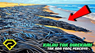 SULIT DIPERCAYA, Kalau Tak Direkam Tak Akan Ada Yang Percaya! 50 MOMEN ANEH DAN LANGKA!