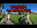 발리한달살기 우붓 숙소, 맛집 추천
