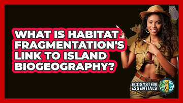 What Is Habitat Fragmentation