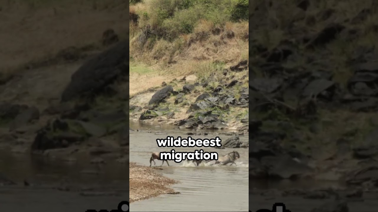 Kenya | Why Go? | Jamhuri ya Kenya | Discovering East Africa’s Wonders 🇰🇪✨ 