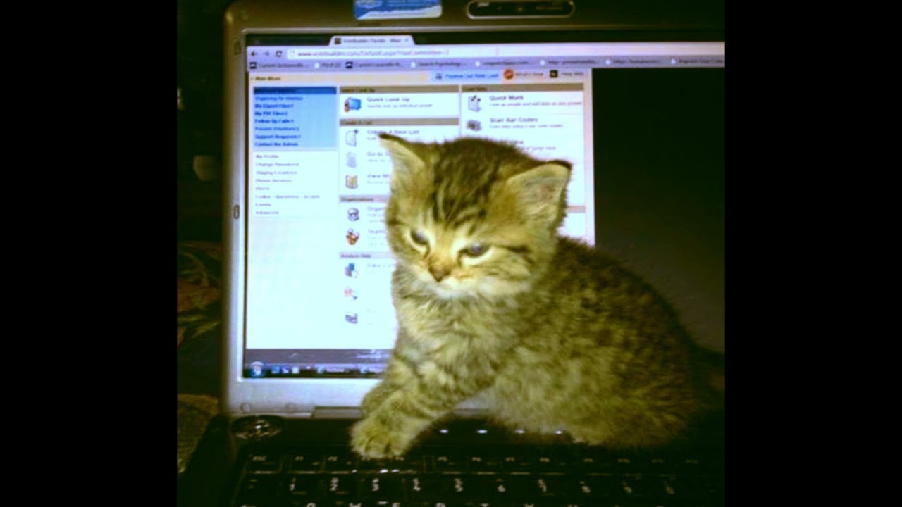 free erdo + waera type beat 