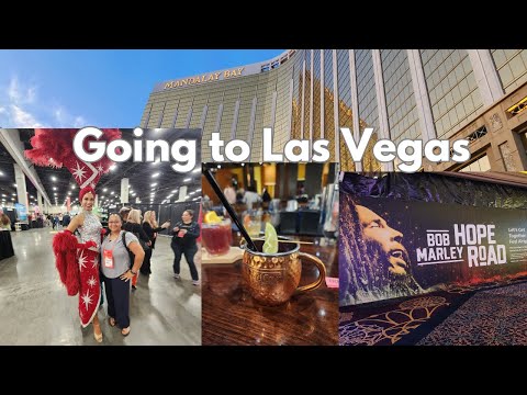 Going to Las Vegas part 2