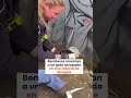 Bomberos rescatan a un gato atrapado en una tubería de desagüe