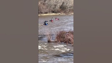 3 Packraft Ducklings following Doom on the Animas. Learn to Packraft this summer! #packrafting