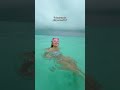 CAN YALL SEE THE STORM COMING Swimsuit Are PALM PUFF Fyp Beach Viral Summer Bahamas 