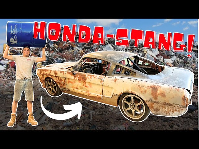 ☆早い者勝ち　☆改造して唯一無二のTomson Mustang ☆早い者勝ち ☆改造して唯一無二のTomson Mustang ☆早い者勝ち