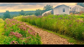 Ecotypes, Ecoregions, and Ecological Restoration: The Ecotype Project