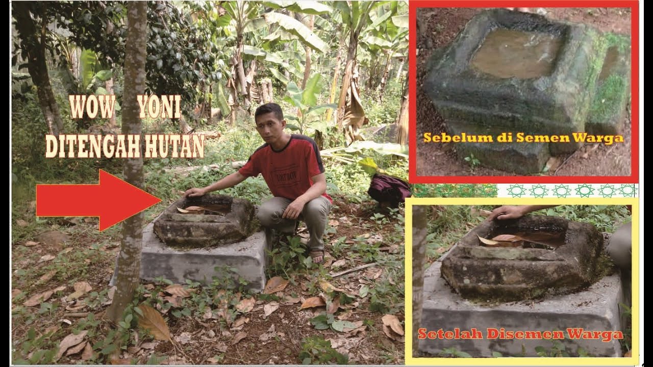 jelajah hutan desa SENDANG, Wonotunggal Batang Jateng. Ketemu YONI