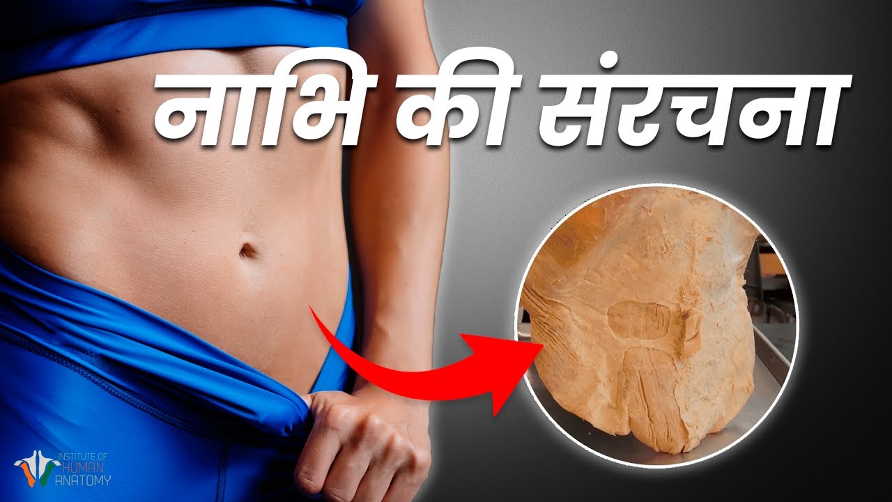 What s Behind The Belly Button YouTube what-s-behind-the-belly-button-youtube