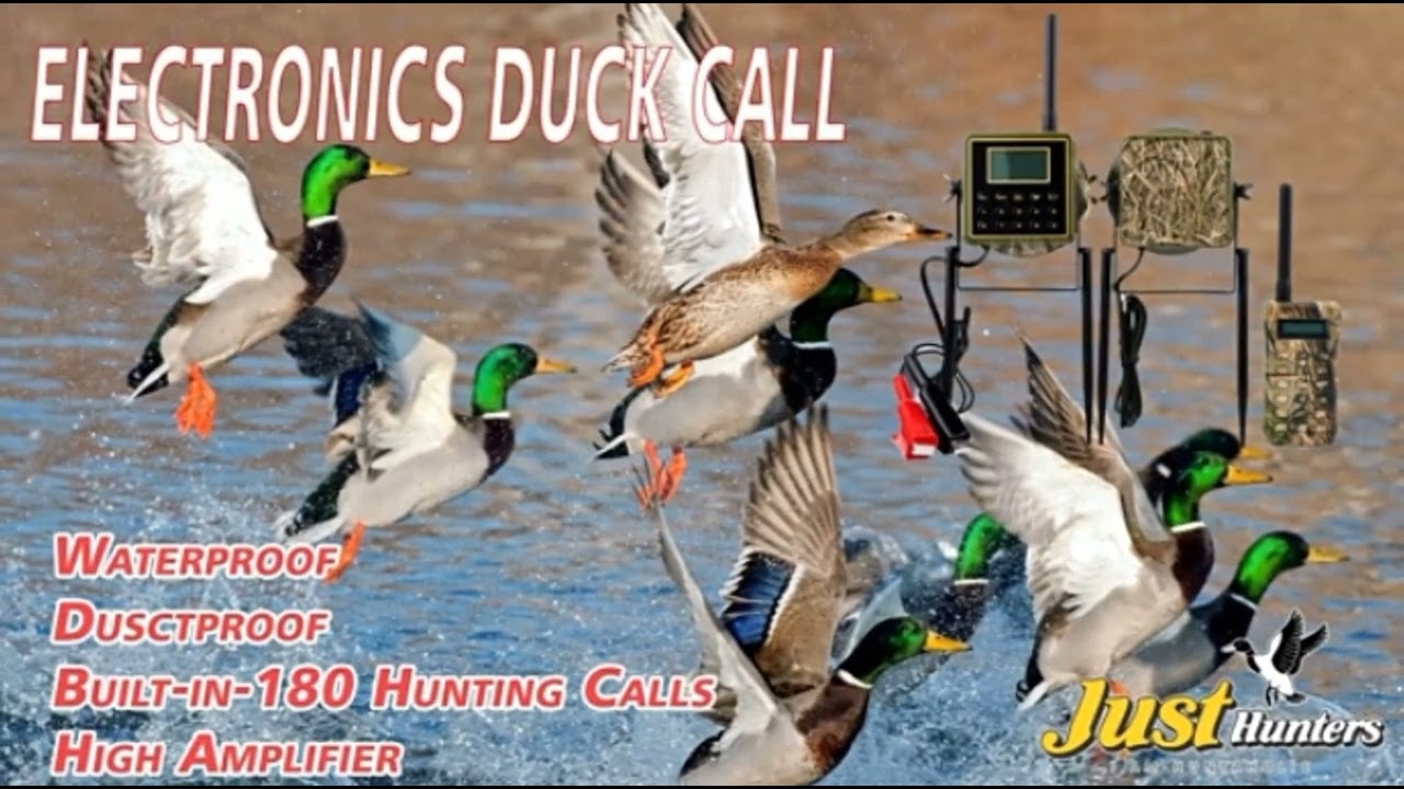 Duck Call Sounds
