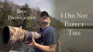 Bird Photography - A Few Surprises