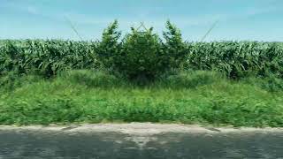 Tyler Ramsey & Carl Broemel - “Elizabeth Brown” (Official Visualizer)