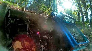 CMX CFX C10 test run