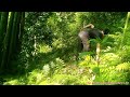 Farming in the forest - raise livestock and grow crops | Digging the chicken coop. Ep.16