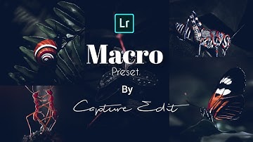 How To Edit Macro Photos in Lightroom। macro preset । Moody Macro Green
