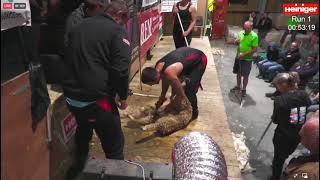 Stuart Connor 9 Hour World Lamb Shearing Record Attempt Run 1