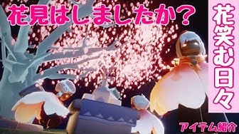 Sky花笑む日々 Youtube