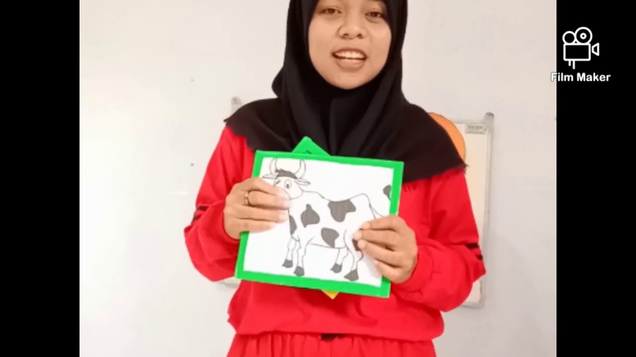 Sapi Paud Bahan Ajar Paud (Mengenal binatang Sapi) - YouTube