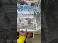 見るだけで獲得率が上がる動画 #クレーンゲーム #ゲームセンター #ufoキャッチャー