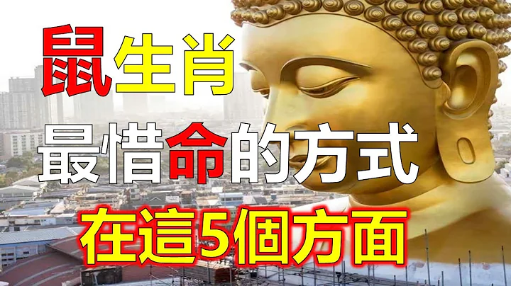 屬鼠人舌頭底下壓死人，屬鼠人今日開始要「警惕」一個人，屬鼠人沒跟你開玩笑，屬鼠人人生不可能一帆風順，有成功也有失敗；屬鼠人起起落落看得太重，屬鼠人人生需要不停地奮鬥。生肖鼠懂得奮鬥註定成大事，12生肖 - 天天要聞