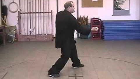 Hsing Yi - 5 Element Form - Movement 7